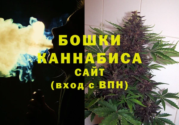 дживик Беломорск