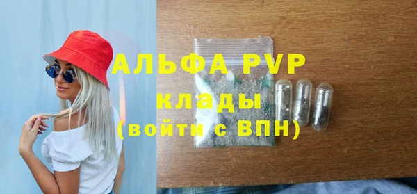 дживик Беломорск