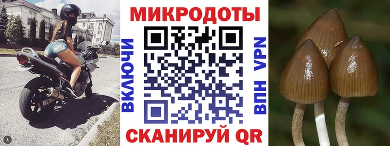 kraken сайт Острогожск Галлюциногенные грибы Psilocybe